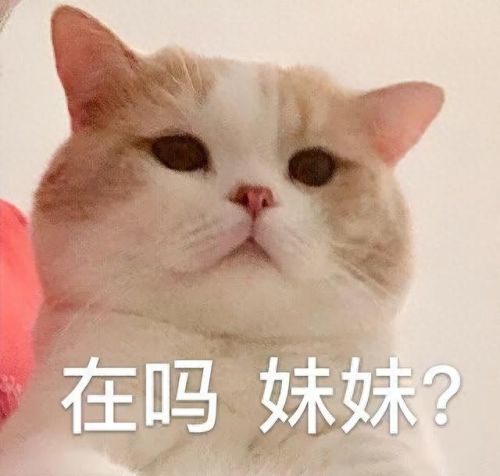 吴川十大姓人口排行榜图(吴川板桥杨氏与易氏人口)插图6