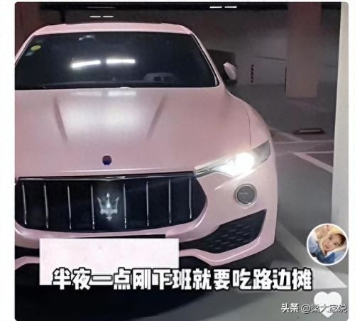 全东北十大网红排行榜(东北三农网红名单)插图3