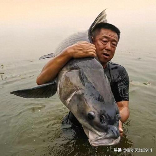 网上钓鱼专家排名前十(十大钓鱼达人排名)插图6