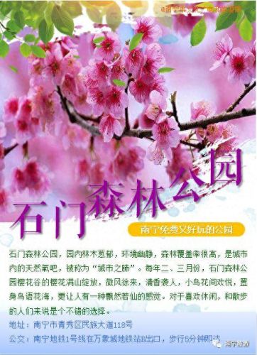 南宁十大好玩的地方排行榜(去南宁必吃十大美食)插图8