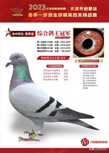 中国十大名鸽家排行榜(中国赛鸽网赛事直播)插图