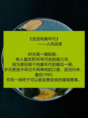 穿越知青小说十大排行榜(重生男主下乡插队小说)插图