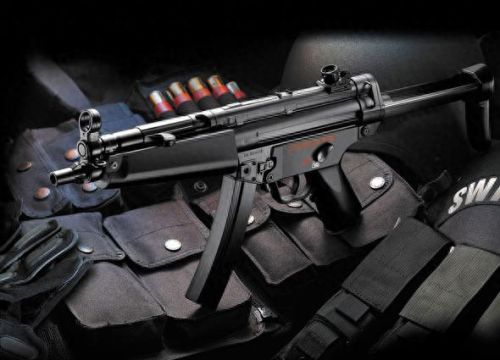 轻武器枪排名前十(轻武器射击场地设置)插图3