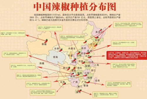 辣椒排名前十的省(全国哪里辣椒最好)插图