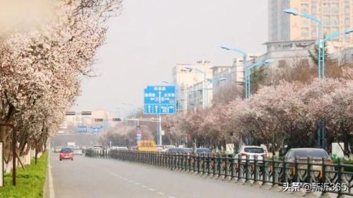 新沂房产价格排名前十(新沂在售楼盘)插图