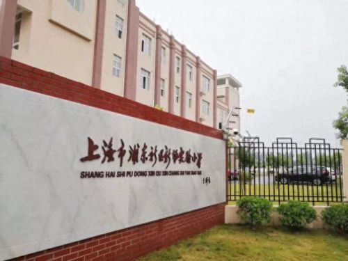 南汇小学面积排名前十(南汇小学一览表)插图26
