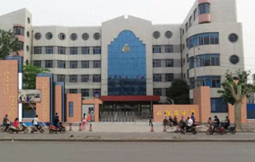 全省排名前十的小学(全市最好小学排名)插图1
