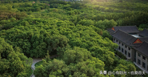 北京独栋豪宅排名前十(北京豪宅前十排名)插图38