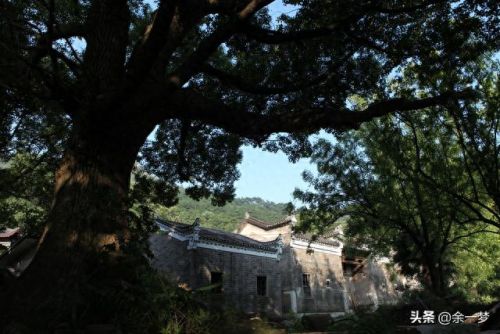大冶旅游景区排名前十(大冶十大景区排名)插图27