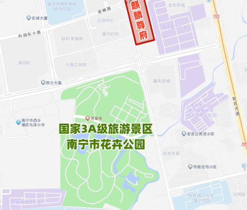 广西稀缺产品排名前十(广西农产品品牌)插图11