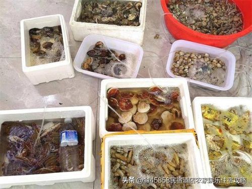 唐山乐亭名宿排名前十(唐山最特色民宿)插图9