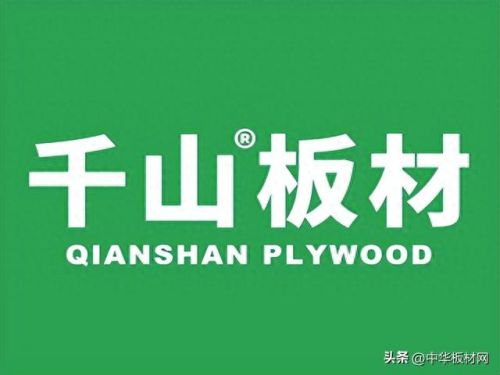 生态板排名前十的(乒乓板十大品牌排名)插图1