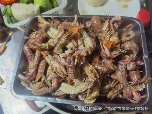 唐山乐亭名宿排名前十(唐山最特色民宿)插图10
