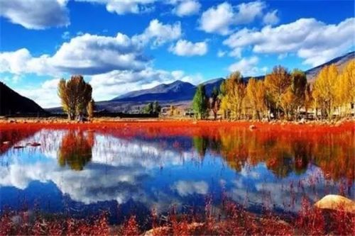 全国最美月份排名前十(2018年全国1)插图13