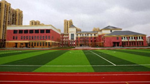 南汇小学面积排名前十(南汇小学一览表)插图11