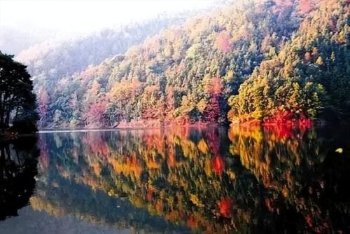 全国最美月份排名前十(2018年全国1)插图53