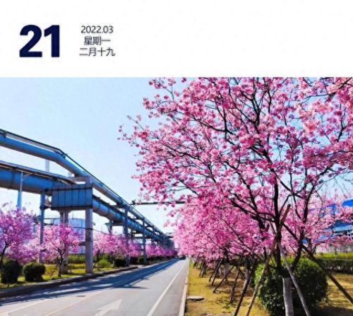 坪石小学排名前十(坪石金鸡小学)插图