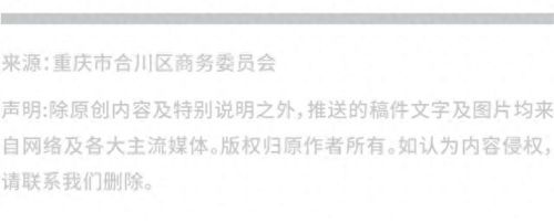 重庆美食高手排名前十(重庆美食榜单排行榜)