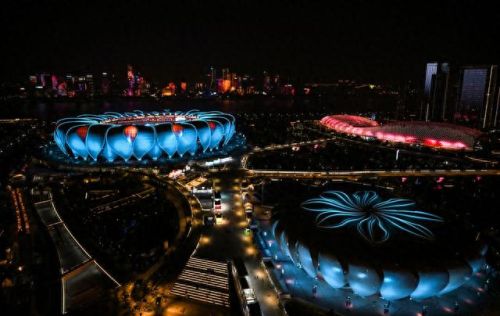 中国田径胸章排名前十(胸章大全)插图13