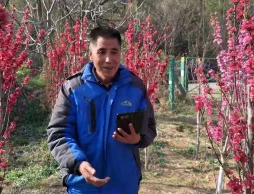 永康中医医生排名前十(永康中医院地址)插图