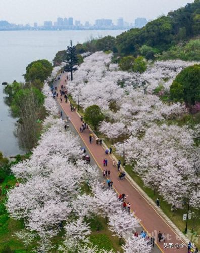 大冶旅游景区排名前十(大冶十大景区排名)插图10