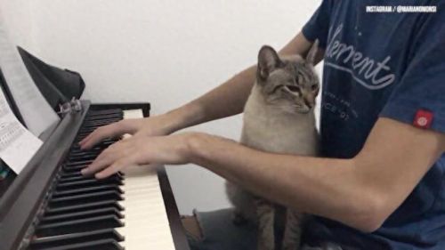 作者排名前十的歌曲(歌曲top20排行榜)插图11