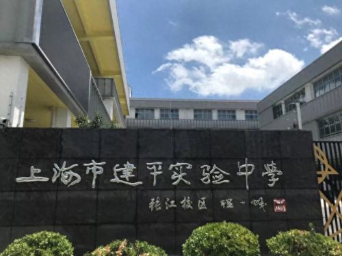 南汇小学面积排名前十(南汇小学一览表)插图5