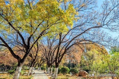 德阳大型小区排名前十(四川德阳市房价)插图
