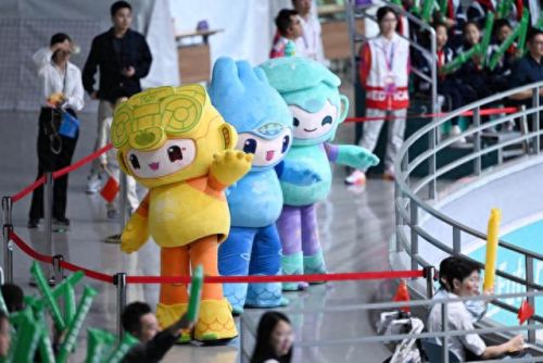 中国田径胸章排名前十(胸章大全)插图6