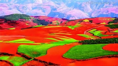 全国最美月份排名前十(2018年全国1)插图27