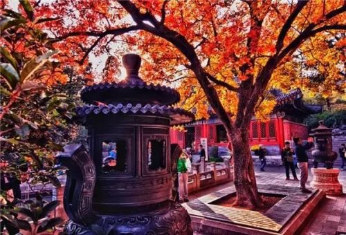 全国最美月份排名前十(2018年全国1)插图30