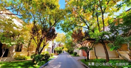 北京独栋豪宅排名前十(北京豪宅前十排名)插图79