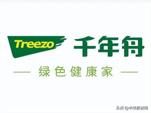 生态板排名前十的(乒乓板十大品牌排名)插图3