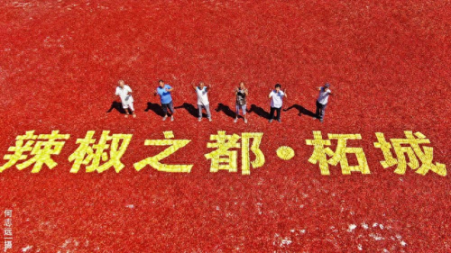 辣椒排名前十的省(全国哪里辣椒最好)插图8