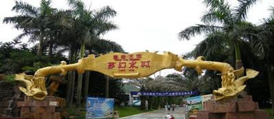 中国水上公园排名前十(全国水上乐园排名)插图3