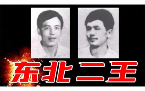 东北历年悍匪排名前十(中国十大悍匪百度贴吧)插图5