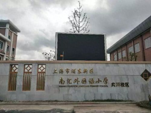 南汇小学面积排名前十(南汇小学一览表)插图28