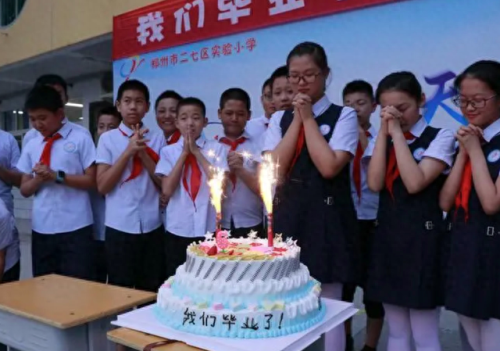 全省排名前十的小学(全市最好小学排名)插图5