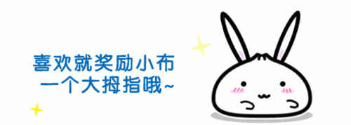 南汇小学面积排名前十(南汇小学一览表)