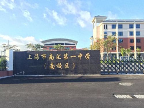 南汇小学面积排名前十(南汇小学一览表)插图12