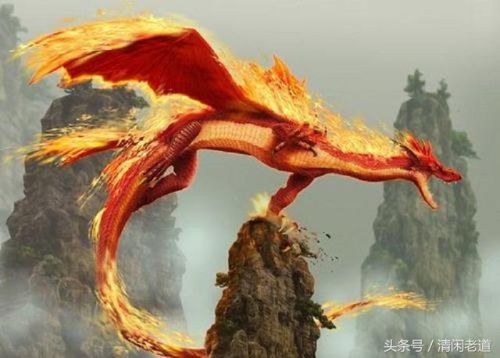 中国神龙家族排名前十(唐神龙)插图8
