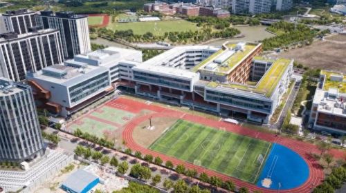 南汇小学面积排名前十(南汇小学一览表)插图2