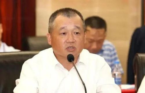 东莞老牌富豪排名前十(东莞大朗的首富是谁)插图6