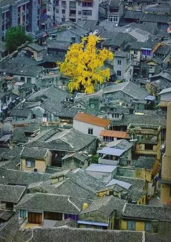 民国温州富豪排名前十(民国十大城市排名)插图