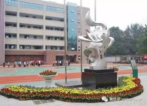 西安小学教科书排名前十(西安买学生用书在哪买)插图5
