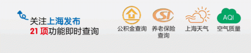 南汇小学面积排名前十(南汇小学一览表)插图