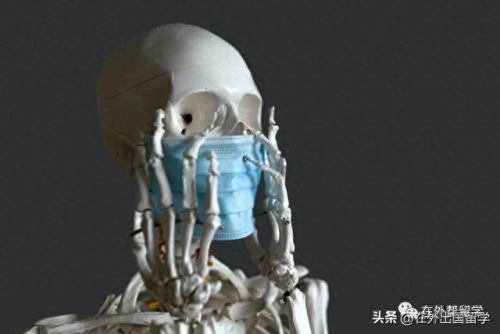 日语专业欧洲排名前十(日语专业较好的院校)插图11