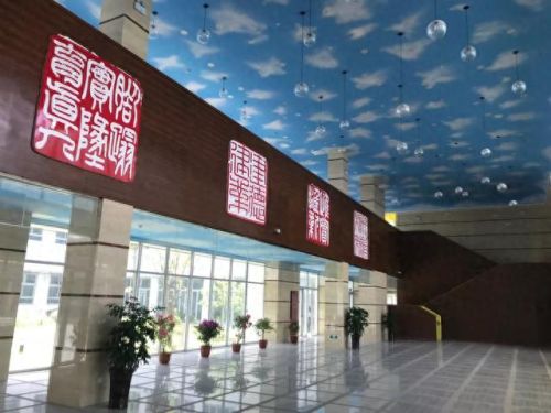 南汇小学面积排名前十(南汇小学一览表)插图6