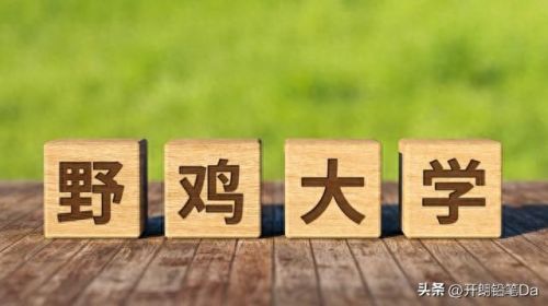 河南野鸡职校排名前十(野鸡职校调查入口)