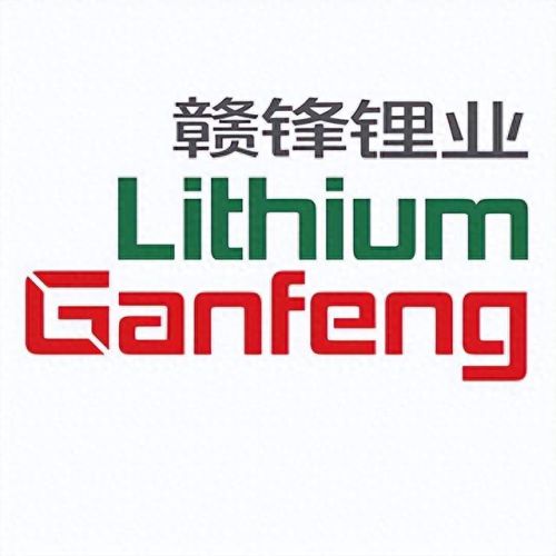 锂矿市值排名前十(全国最大锂矿排名)插图3